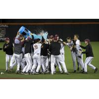 The Corvallis Knights celebrate their win in the North Divisional Series