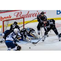 The Manitoba Moose and San Antonio Rampage scramble in front of the Rampage net