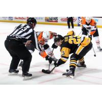 Lehigh Valley Phantoms against the Wilkes-Barre/Scranton Penguins