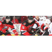 Binghamton Devils centre Michael McLeod battles against the Belleville Senators