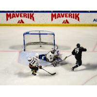 Griffen Molino of the Utah Grizzlies (right) scores against the Newfoundland Growlers