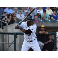 Jimmy Paredes batting for the Somerset Patriots