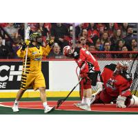 Miles Thompson of the Georgia Swarm reacts after a goal against the Calgary Roughnecks