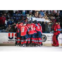 Springfield Thunderbirds celebrate a goal in front of the crowd