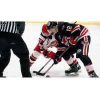 Port Huron Prowlers face off with the Carolina Thunderbirds