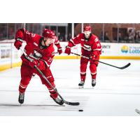 Forward Janne Kuokkanen with the Charlotte Checkers