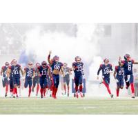 Montreal Alouettes enter the field