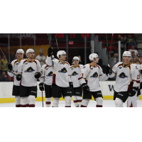 Cleveland Monsters salute the fans during a game against the Syracuse Crunch