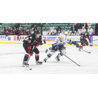 Victoria Royals left wing Carter Briltz (right) vs. the Prince George Cougars