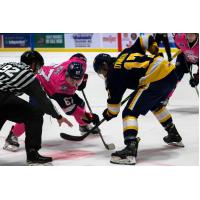 Erie Otters face off with the Saginaw Spirit