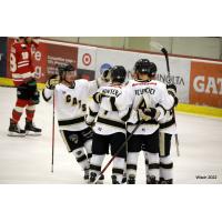 Bismarck Bobcats celebrate a goal against the Aberdeen Wings
